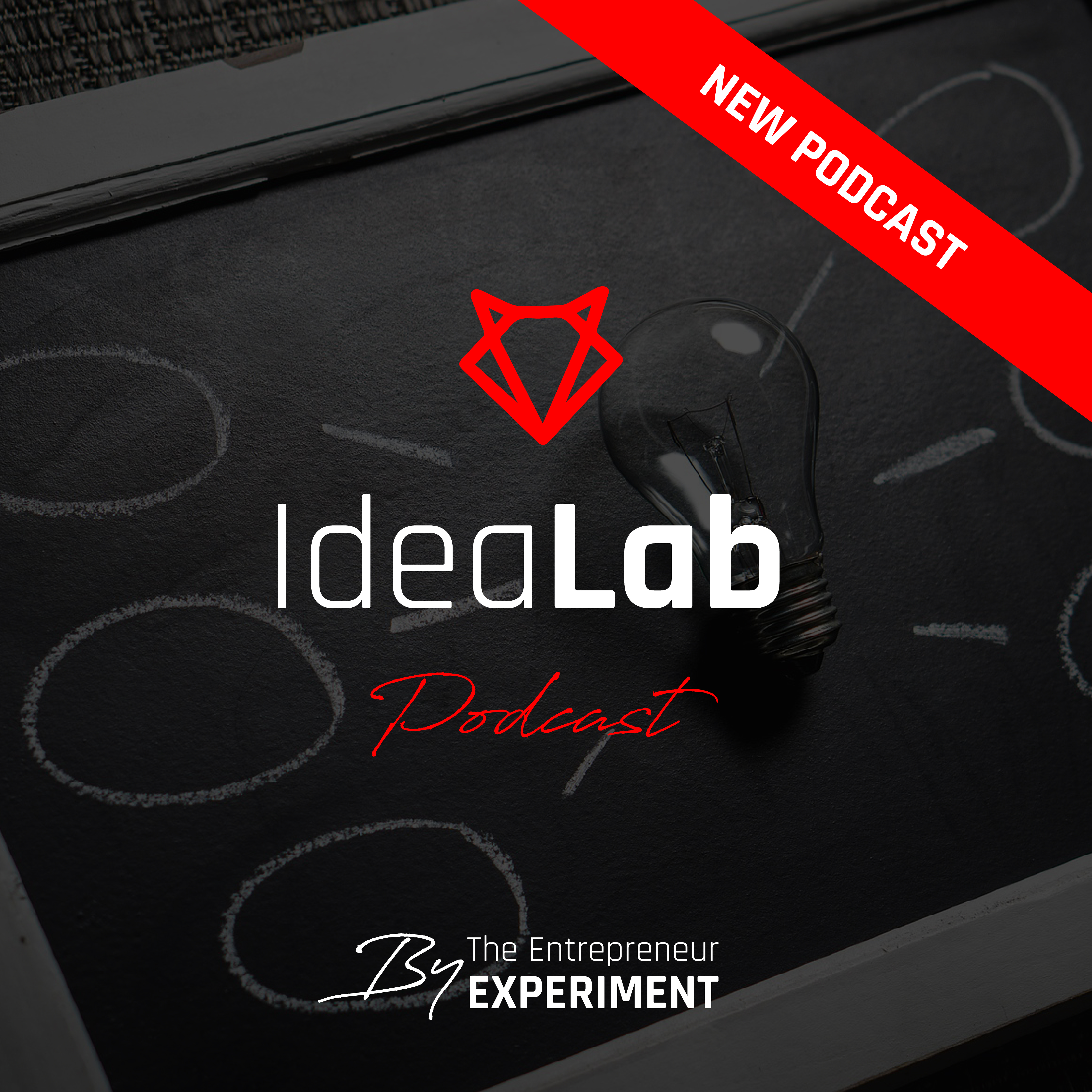 EE 68 - Idea Lab - How to Earn €100k online